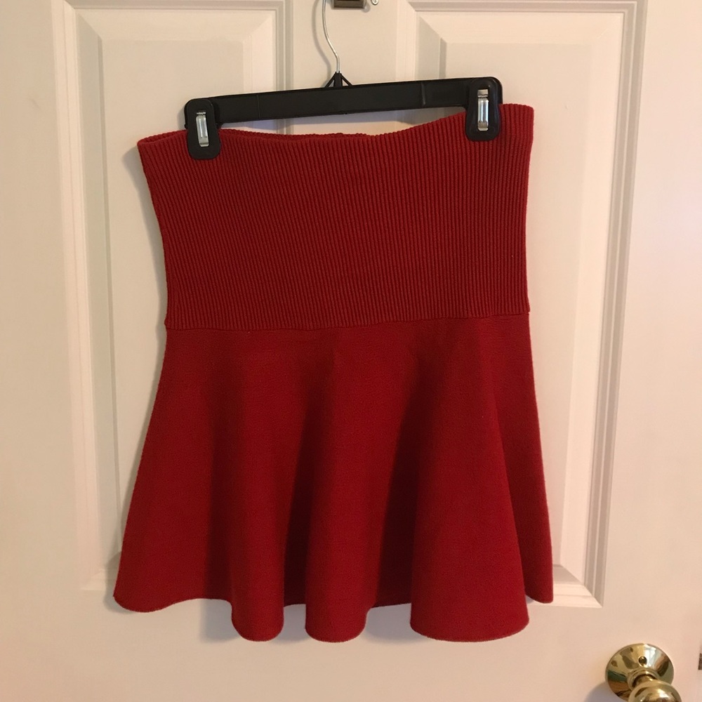 Zara Skater Skirt